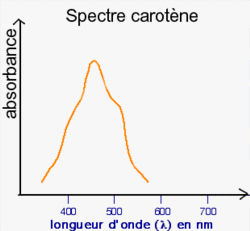 spectre-carotene (4K)